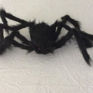 Fuzzy Black Spider Kids can have fun with